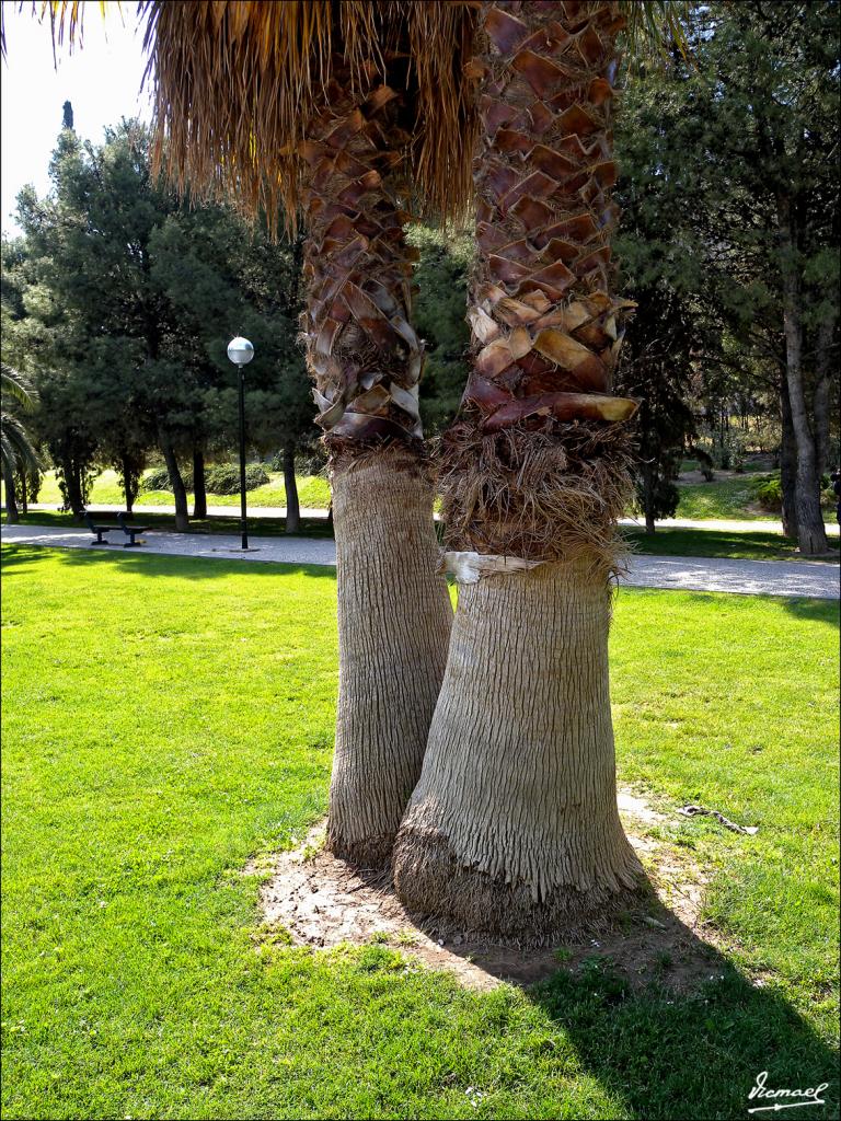 Foto de Zaragoza (Aragón), España