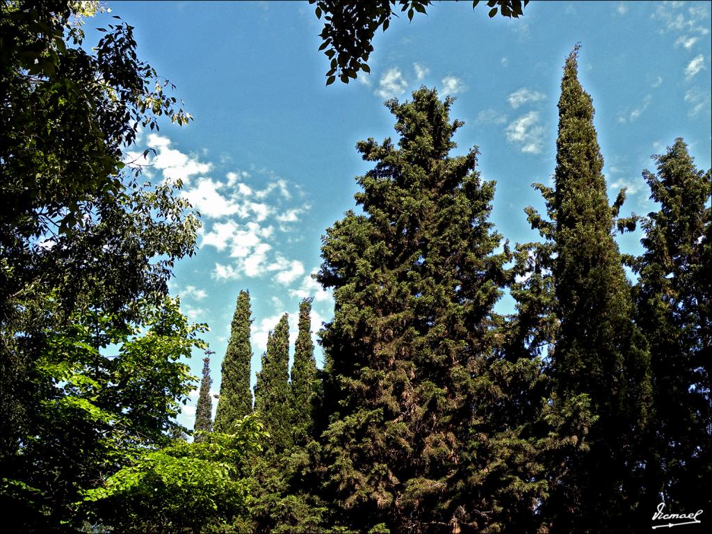 Foto de Zaragoza (Aragón), España