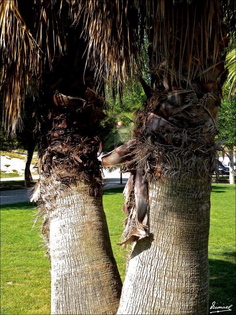 Foto de Zaragoza (Aragón), España
