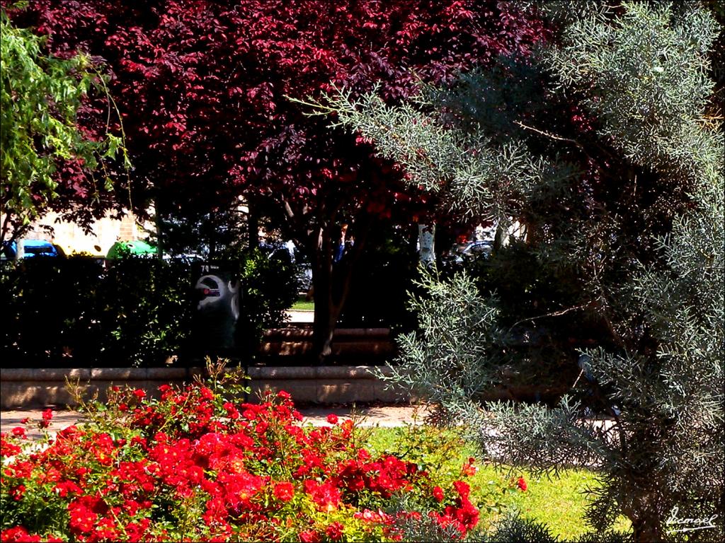 Foto de Zaragoza (Aragón), España