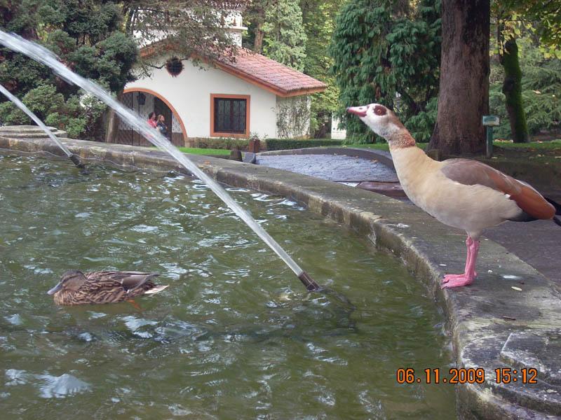 Foto de Oviedo (Asturias), España