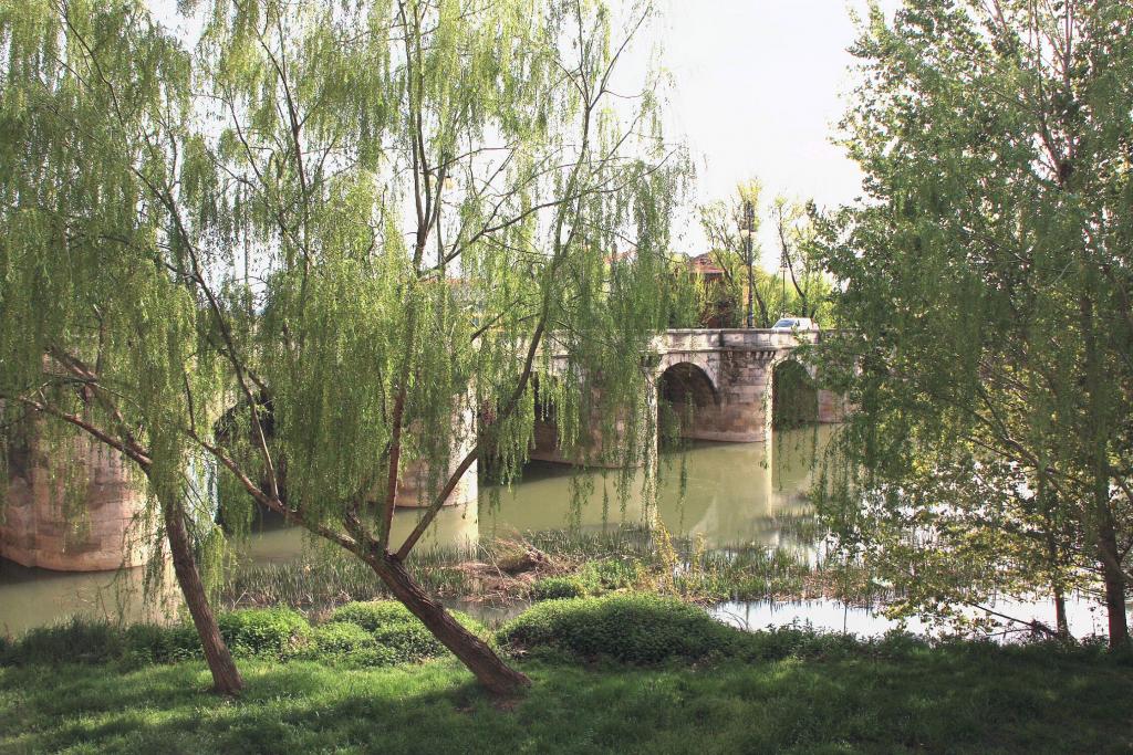 Foto de Palencia (Castilla y León), España