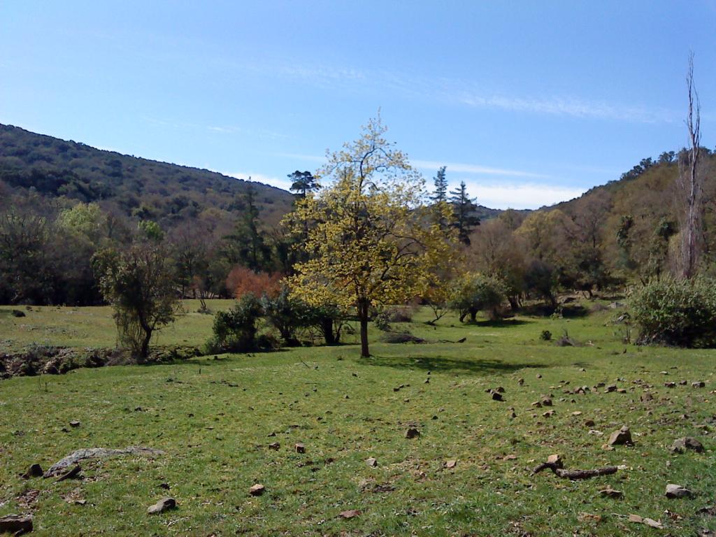 Foto de Ubrique (Cádiz), España