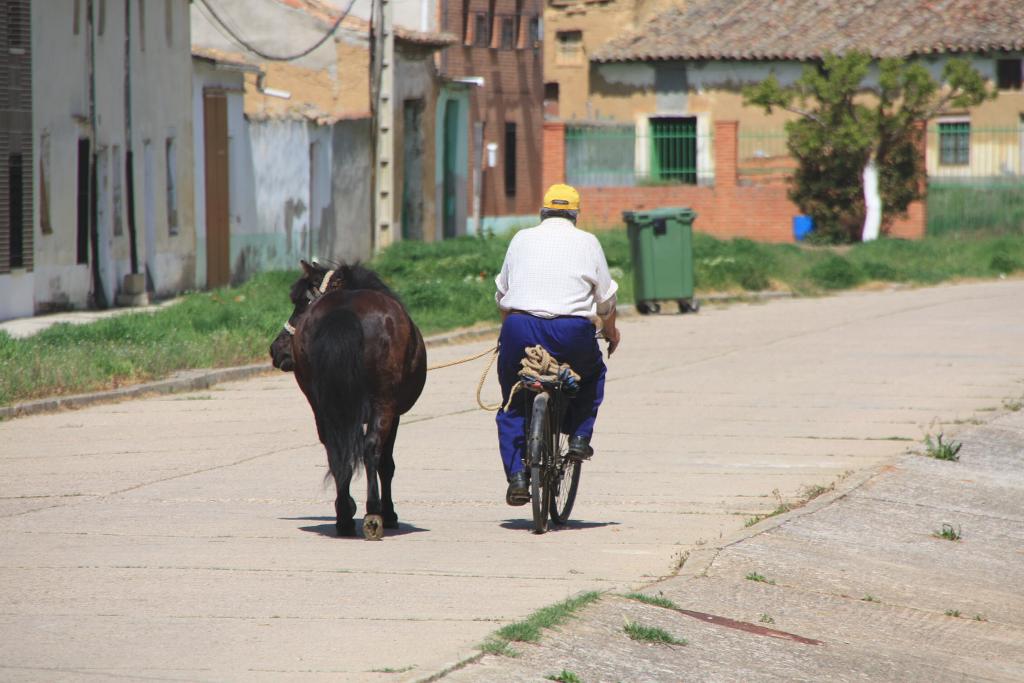 Foto de Villarramiel (Palencia), España