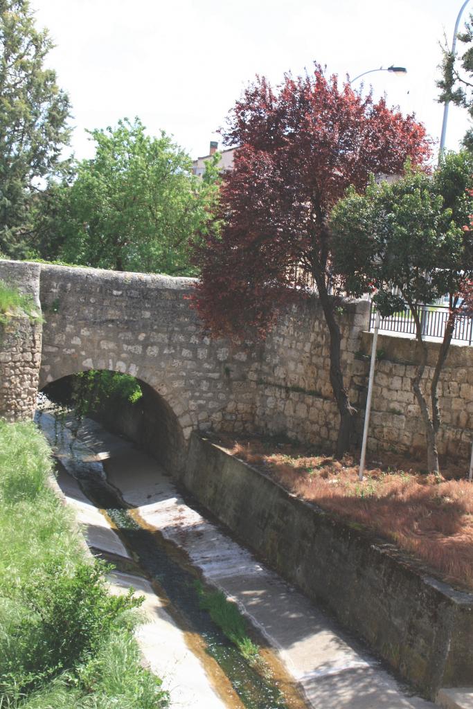 Foto de Dueñas (Palencia), España