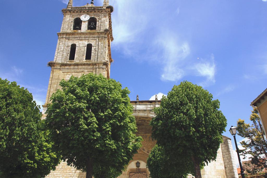 Foto de Dueñas (Palencia), España