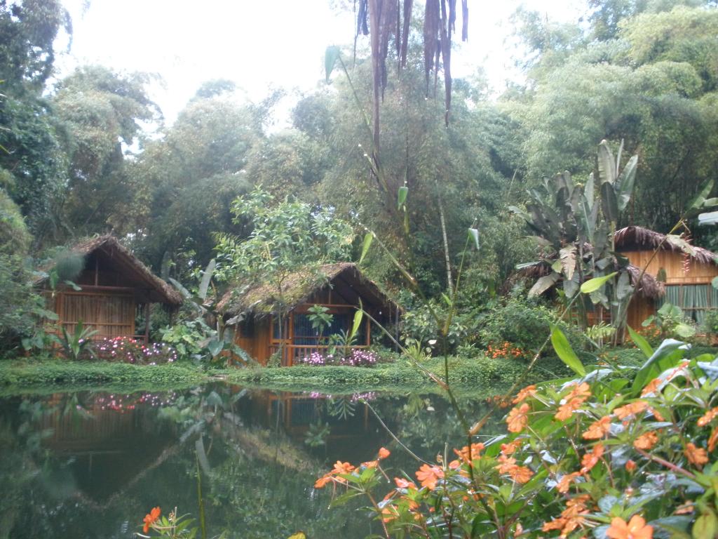 Foto de Mindo, Ecuador