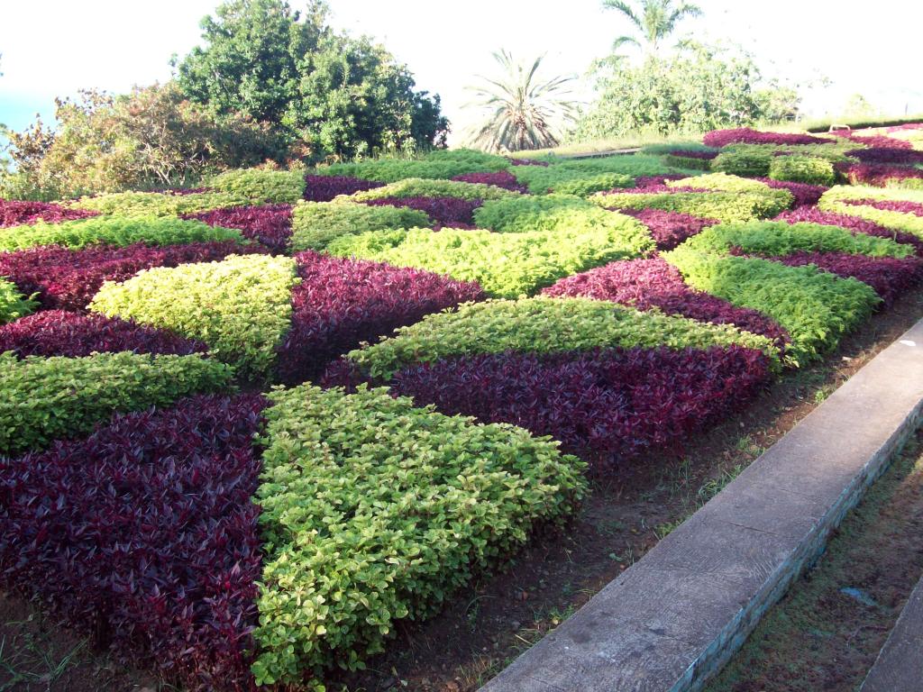Foto de Funchal (Madeira), Portugal