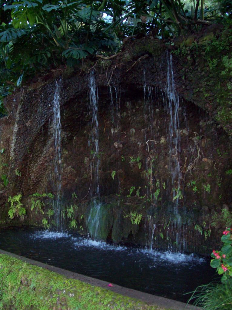 Foto de Funchal-Madeira, Portugal