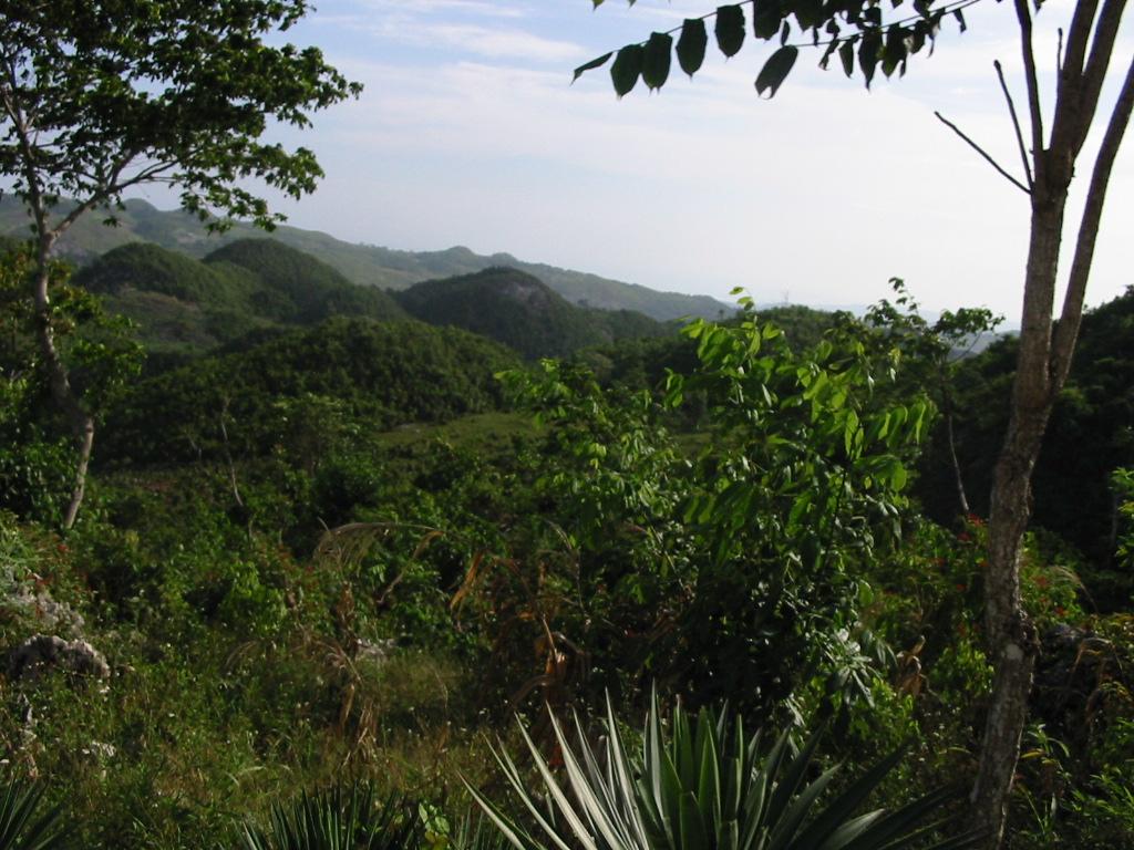 Foto de Beaumont, Haití