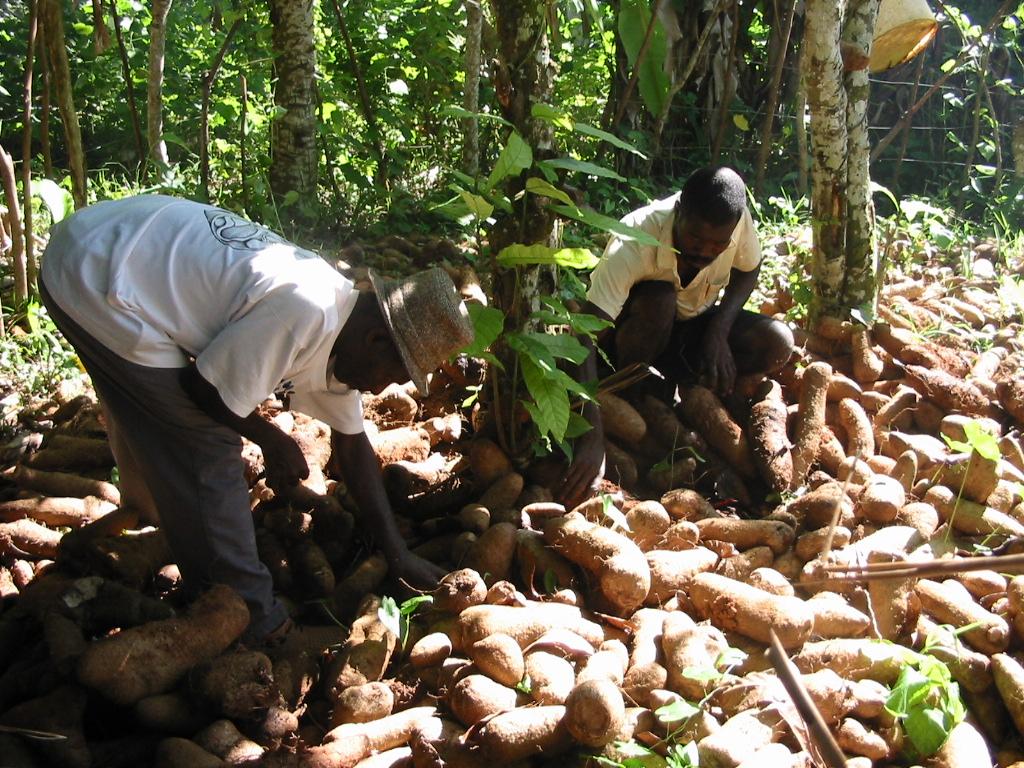 Foto de Haiti, Haití