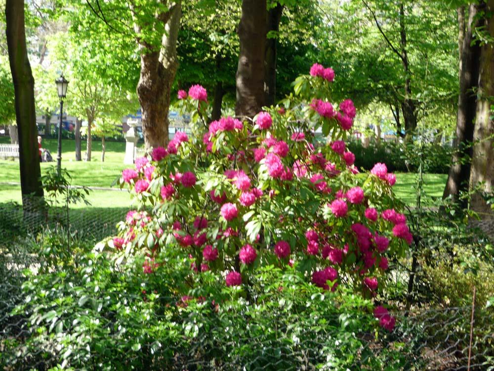 Foto de Oviedo (Asturias), España