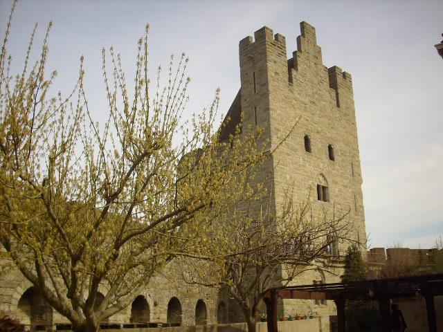 Foto de Carcassonne, Francia