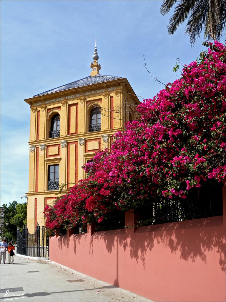 Foto de Sevilla (Andalucía), España