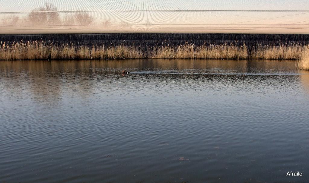 Foto de Daimiel (Ciudad Real), España