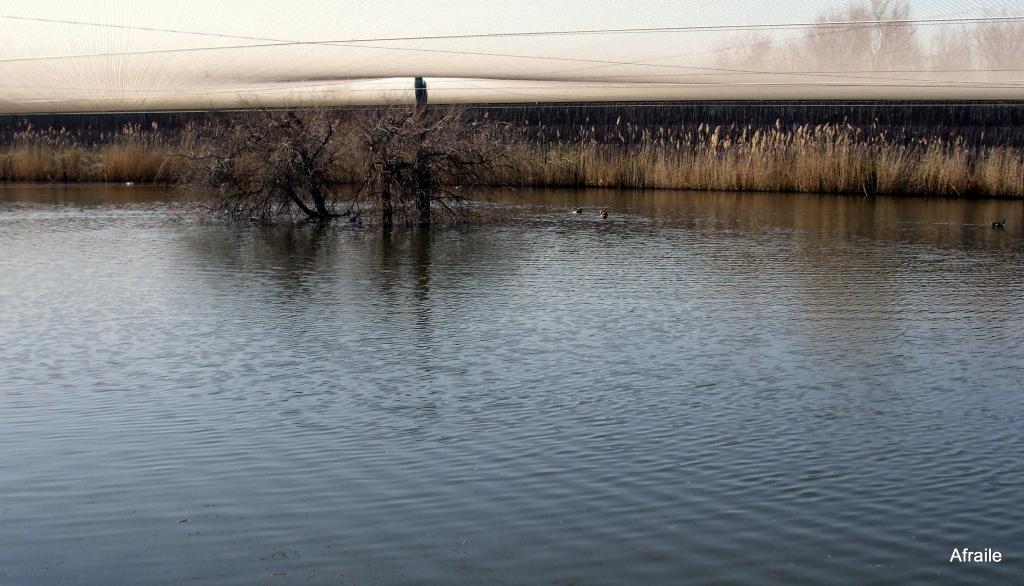 Foto de Daimiel (Ciudad Real), España