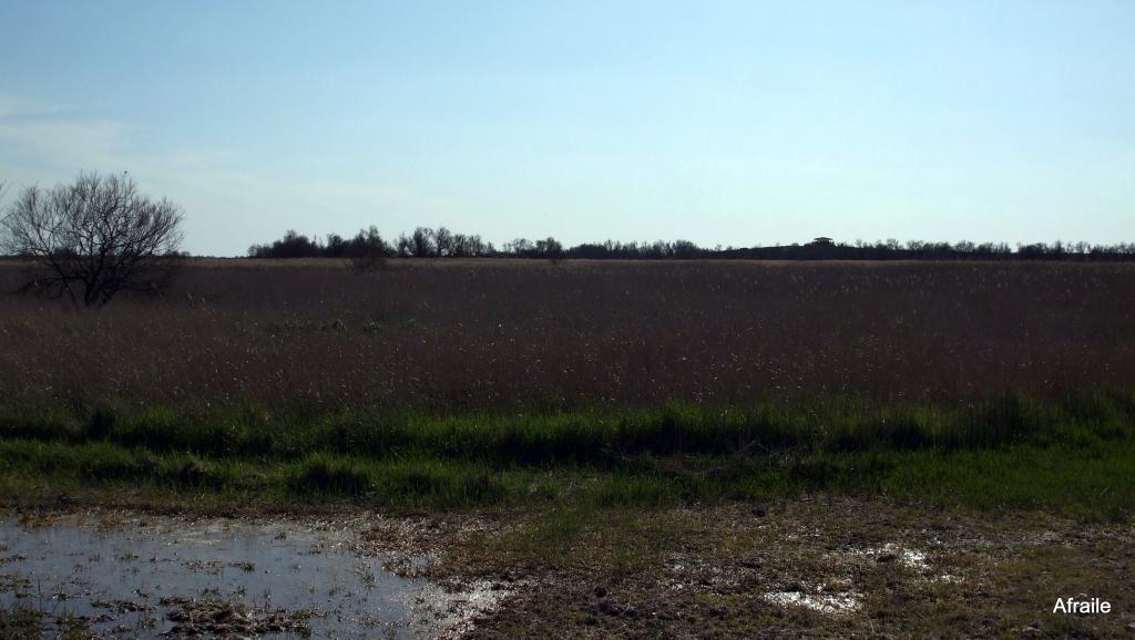 Foto de Daimiel (Ciudad Real), España