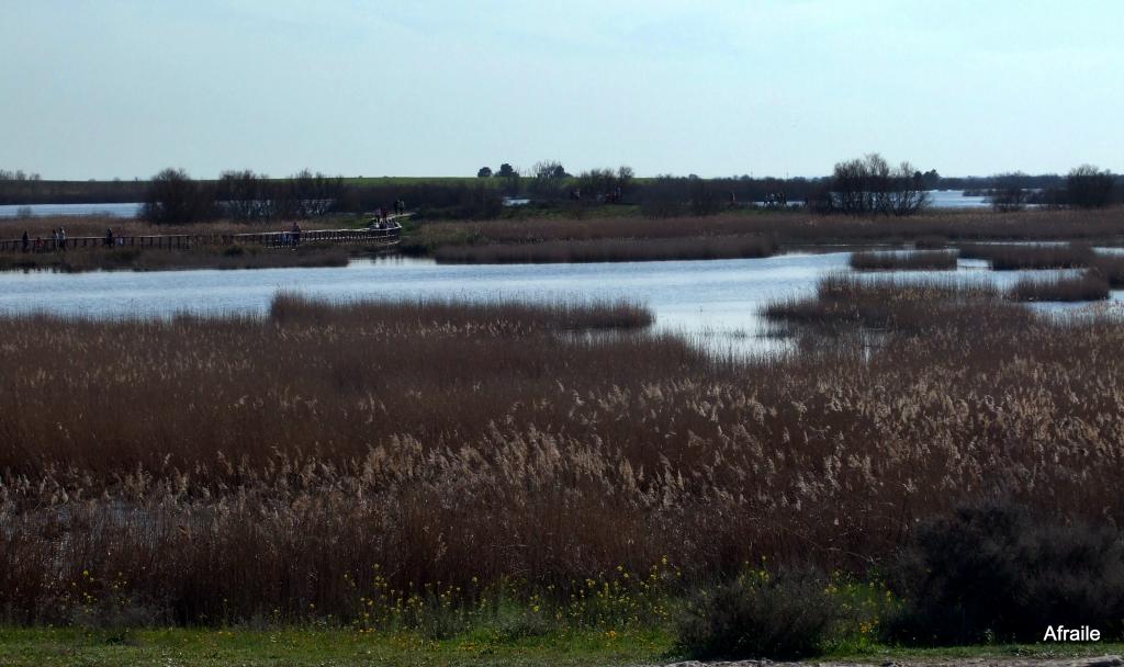 Foto de Daimiel (Ciudad Real), España