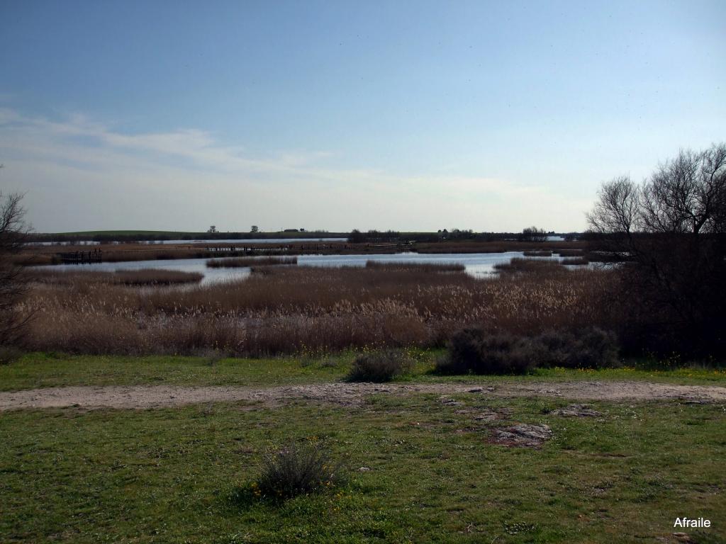 Foto de Daimiel (Ciudad Real), España