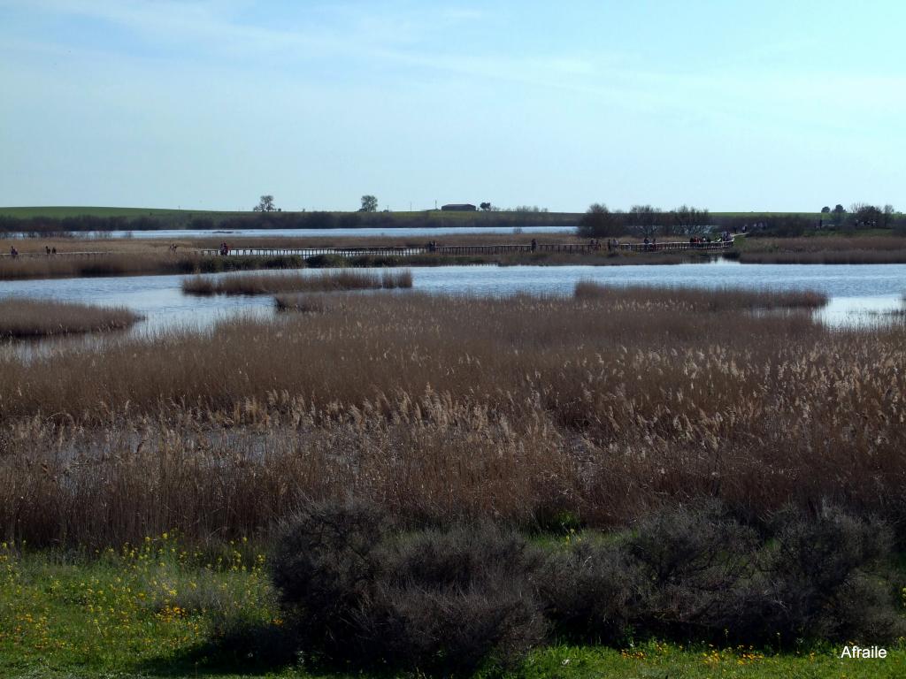 Foto de Daimiel (Ciudad Real), España