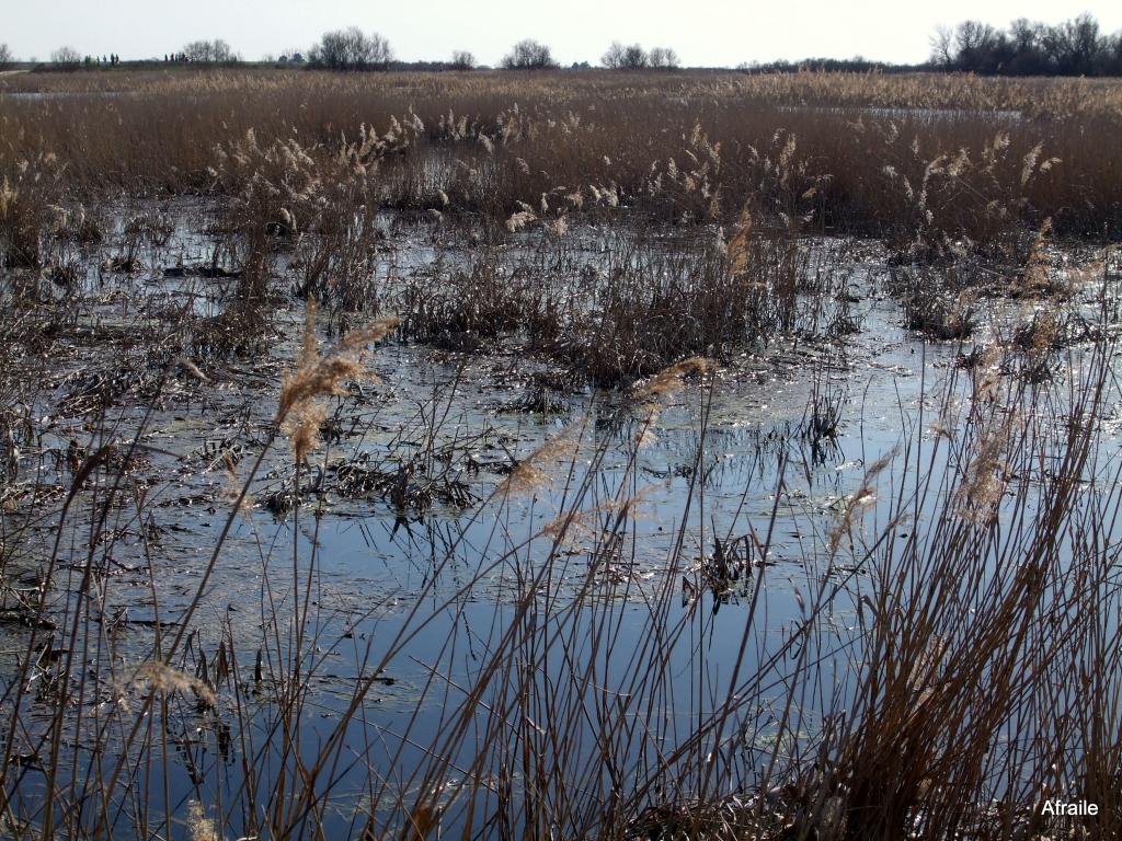Foto de Daimiel (Ciudad Real), España