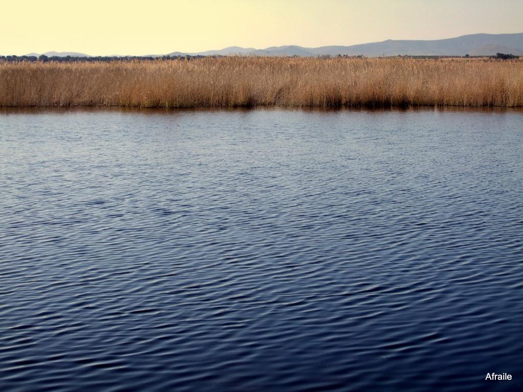 Foto de Daimiel (Ciudad Real), España