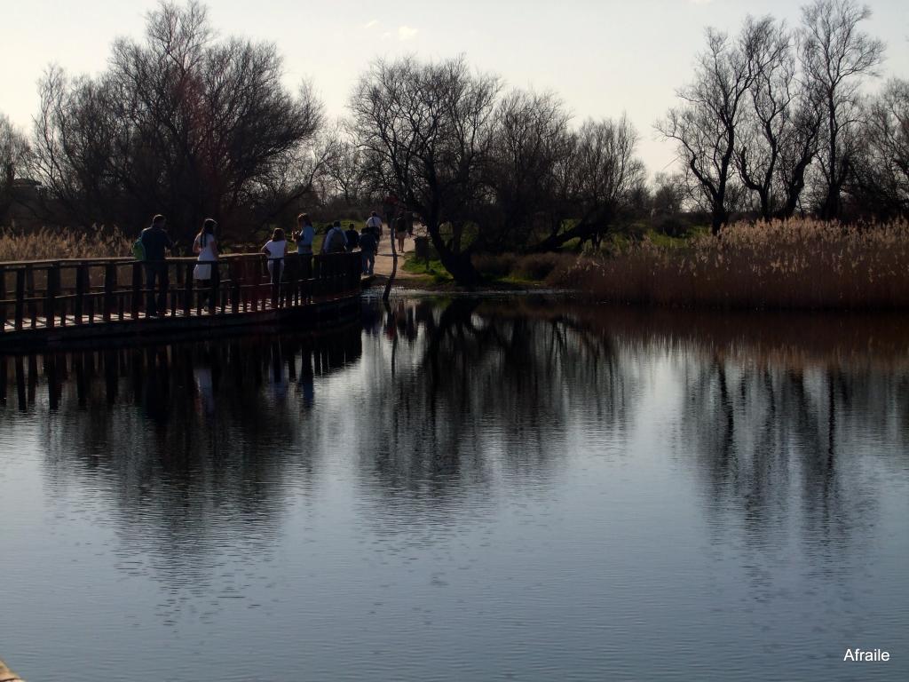 Foto de Daimiel (Ciudad Real), España