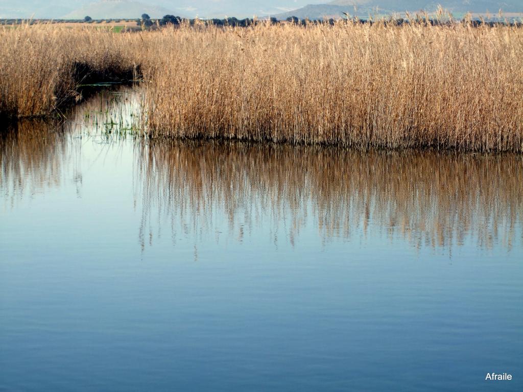 Foto de Daimiel (Ciudad Real), España