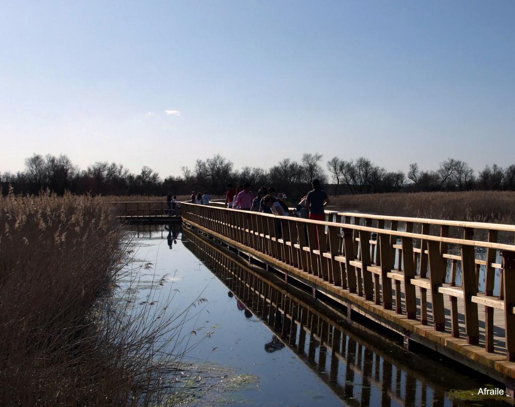 Foto de Daimiel (Ciudad Real), España