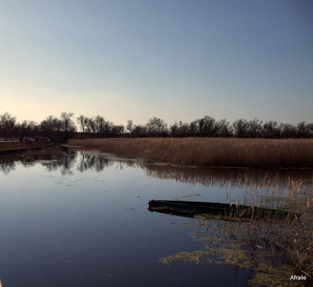 Foto de Daimiel (Ciudad Real), España