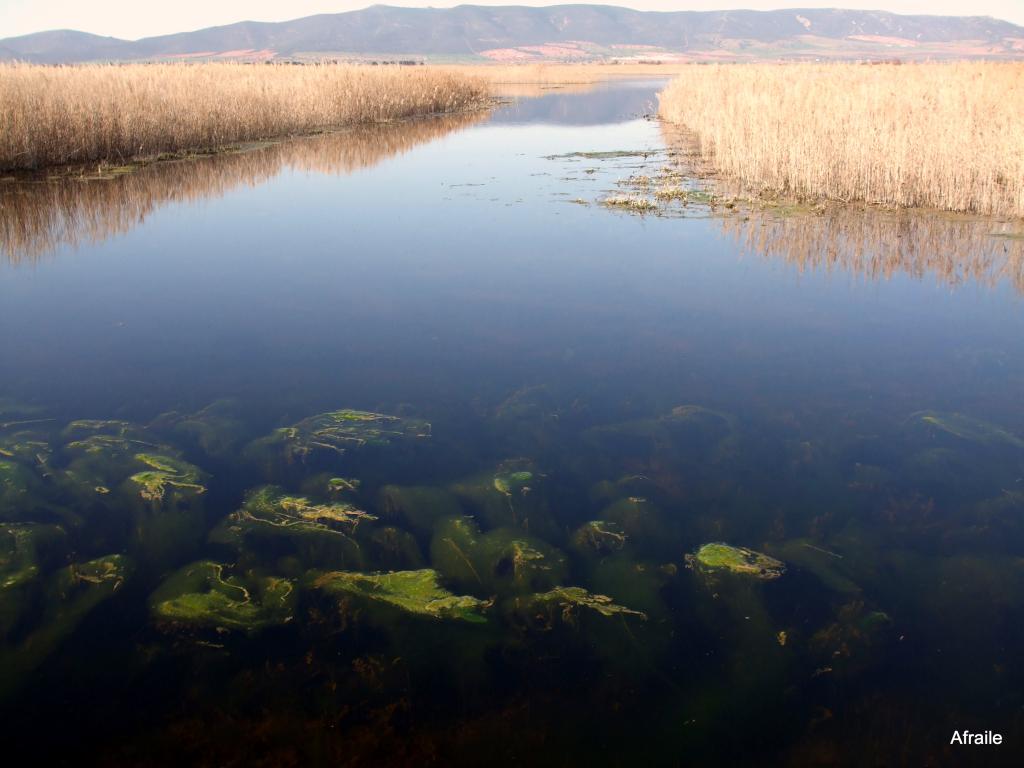Foto de Daimiel (Ciudad Real), España