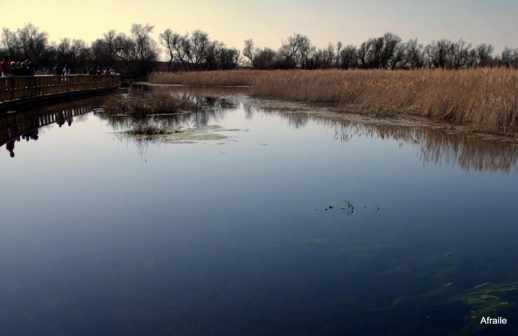 Foto de Daimiel (Ciudad Real), España
