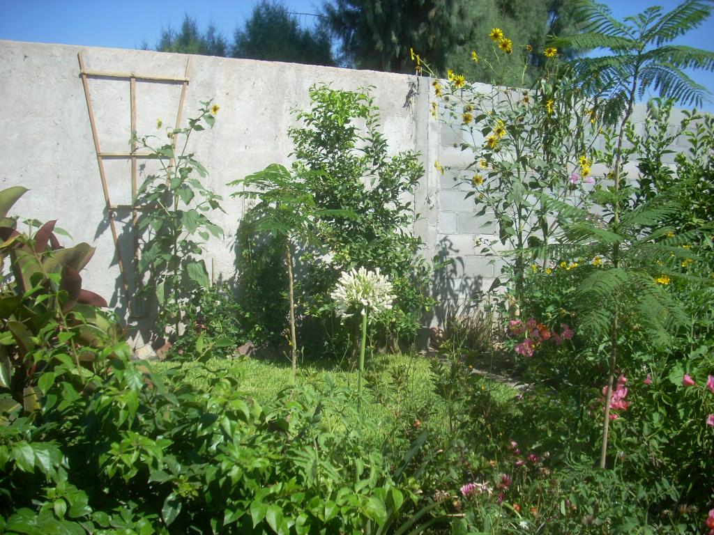 Foto de San Luis (Sonara), México