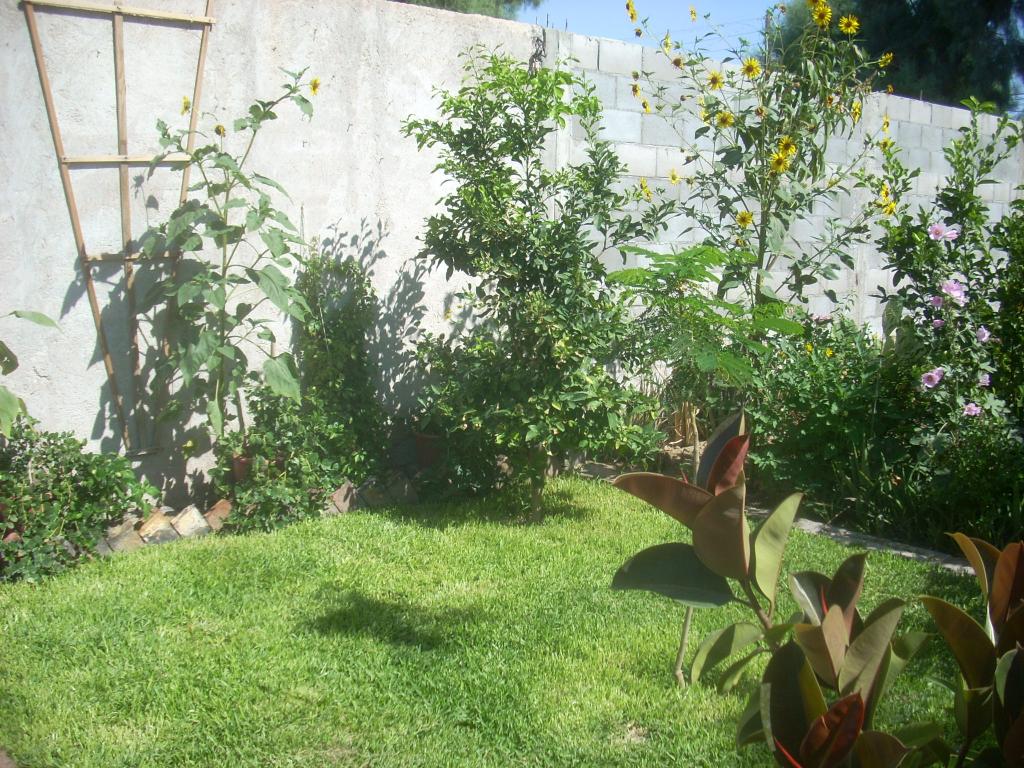 Foto de San Luis (Sonara), México