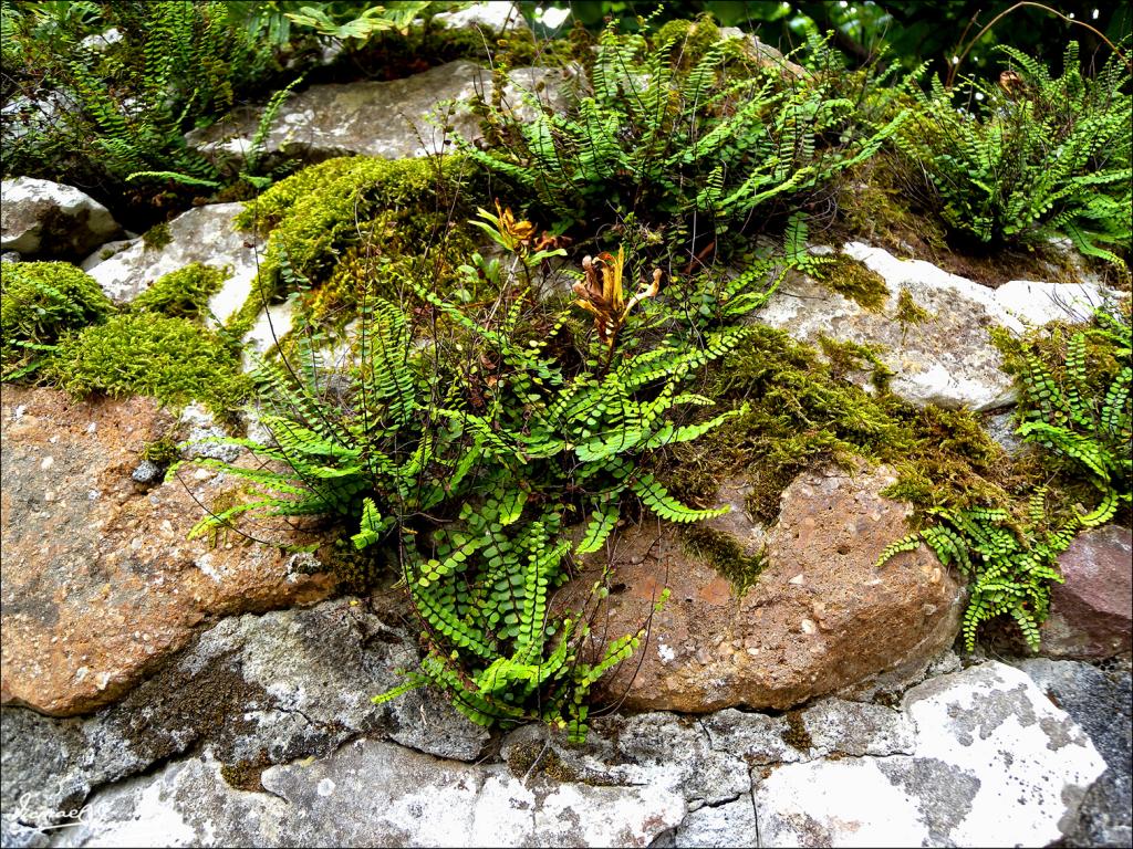 Foto de Zugarramurdi (Navarra), España