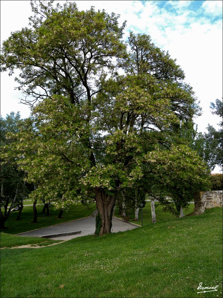 Foto de Pamplona (Navarra), España