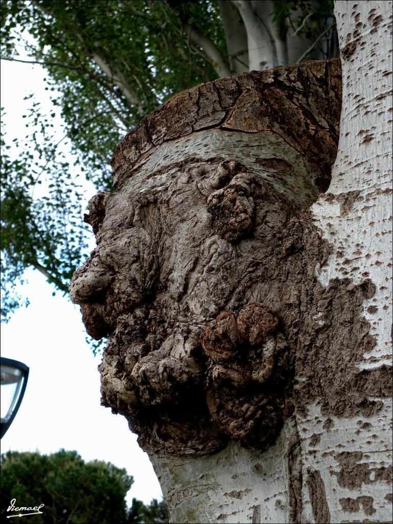 Foto de Pamplona (Navarra), España