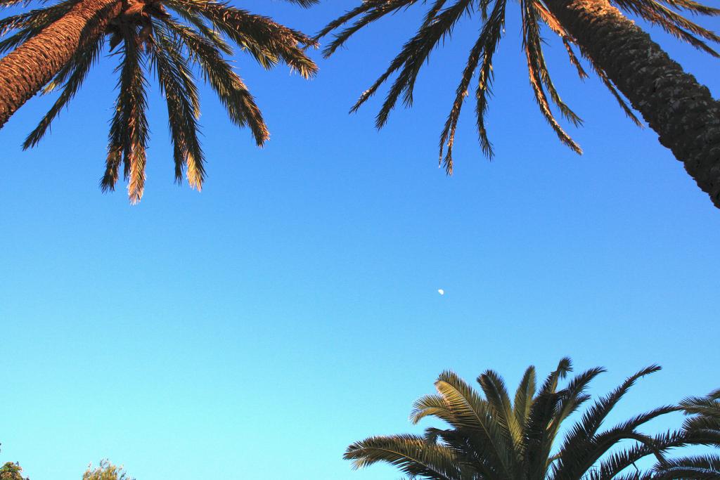 Foto de Mahón (Menorca) (Illes Balears), España