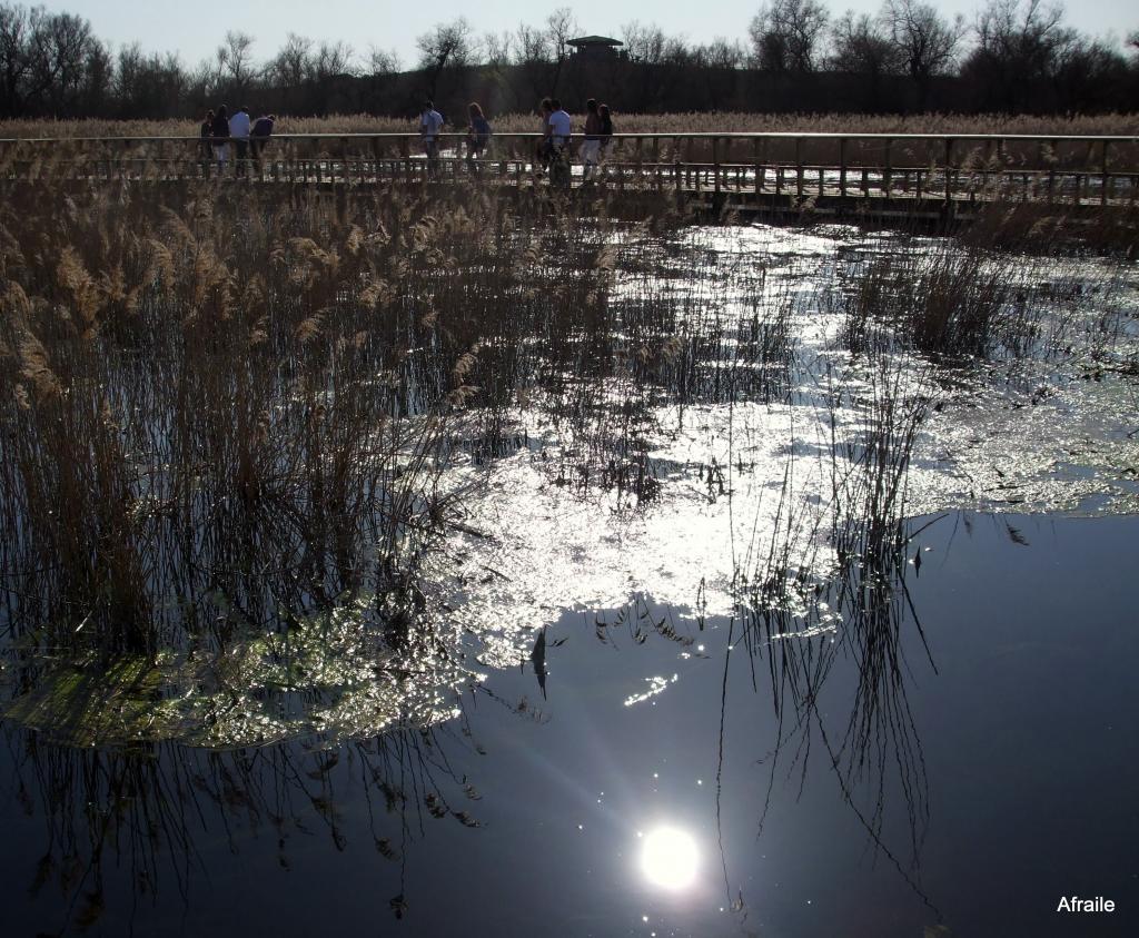 Foto de Daimiel (Ciudad Real), España