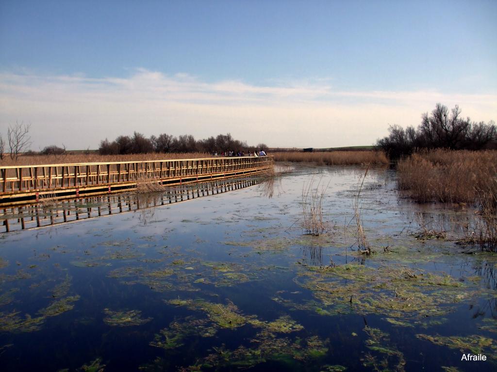 Foto de Daimiel (Ciudad Real), España