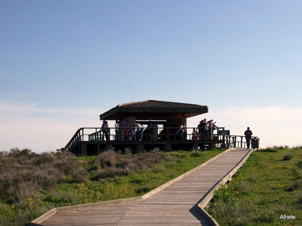 Foto de Daimiel (Ciudad Real), España