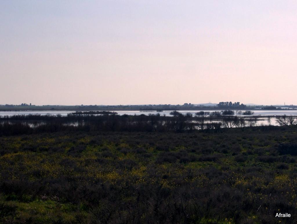 Foto de Daimiel (Ciudad Real), España