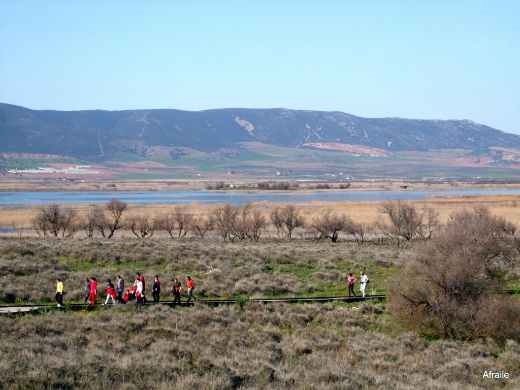 Foto de Daimiel (Ciudad Real), España