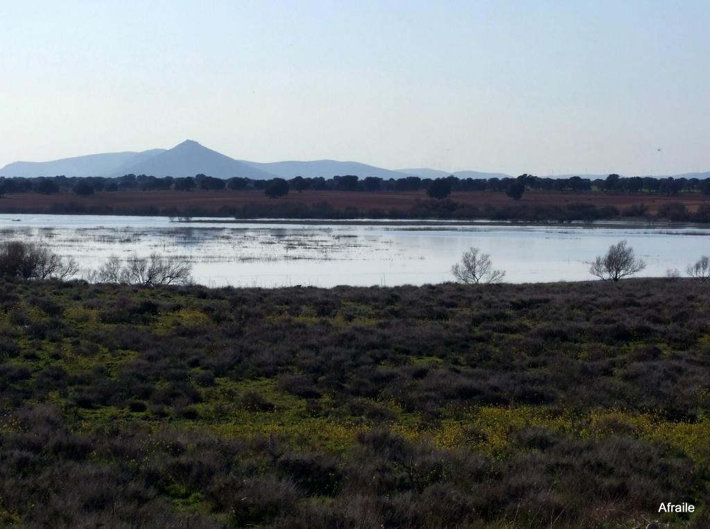 Foto de Daimiel (Ciudad Real), España