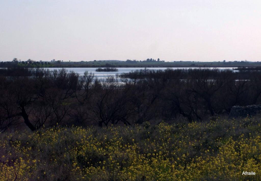 Foto de Daimiel (Ciudad Real), España
