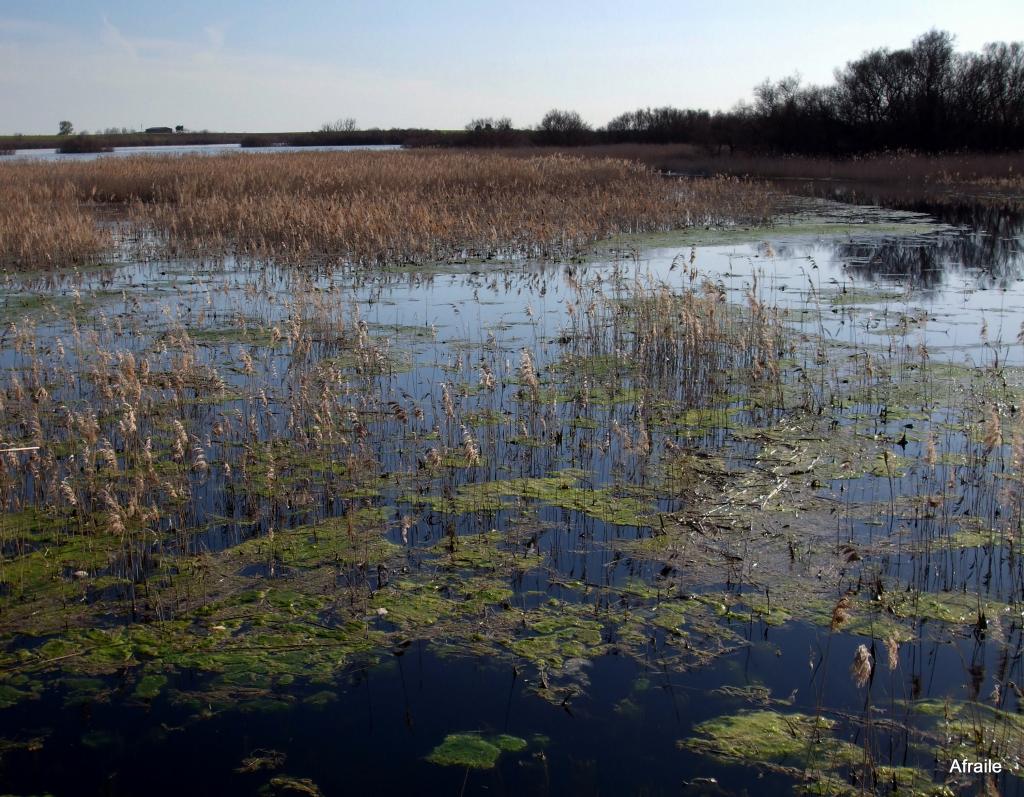 Foto de Daimiel (Ciudad Real), España