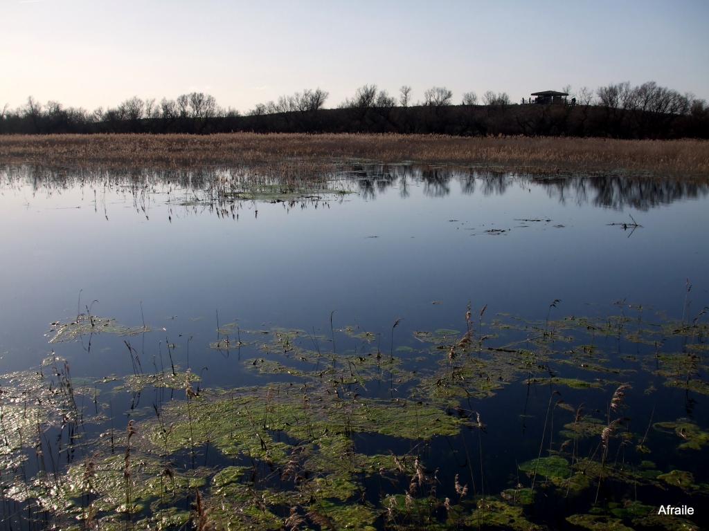 Foto de Daimiel (Ciudad Real), España