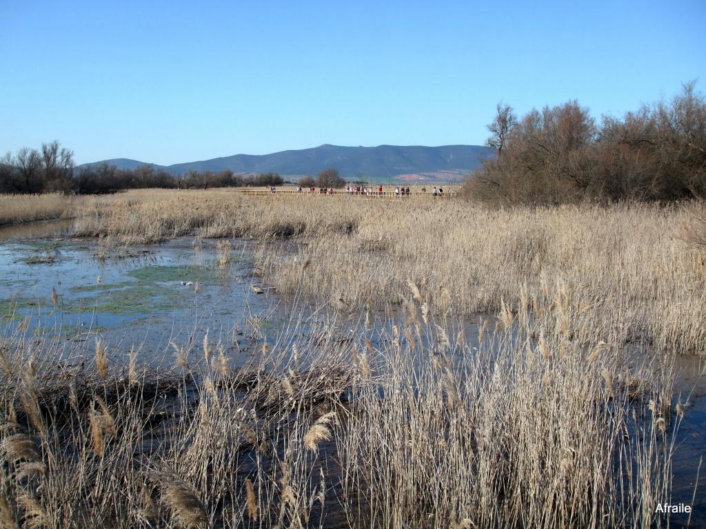 Foto de Daimiel (Ciudad Real), España