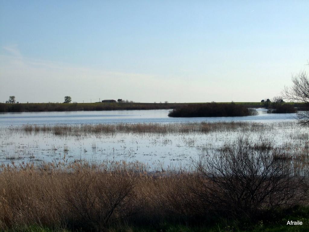 Foto de Daimiel (Ciudad Real), España