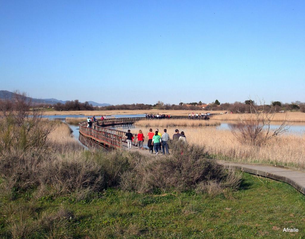 Foto de Daimiel (Ciudad Real), España
